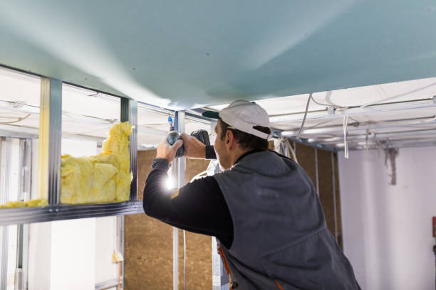 Best Spray Foam Insulation in Karnes City, TX