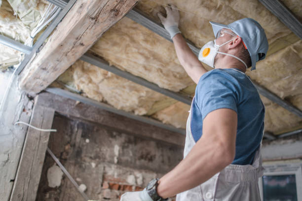Best Blown-in Insulation in Karnes City, TX