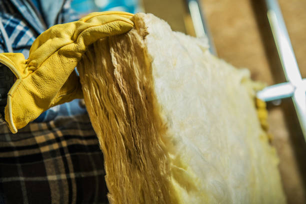 Best Spray Foam Insulation in Karnes City, TX
