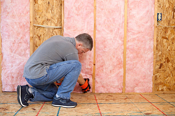 Best DIY Insulation Kits and Guidance in Karnes City, TX
