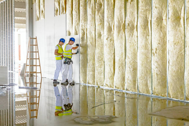 Professional Insulation Contractor in Karnes City, TX